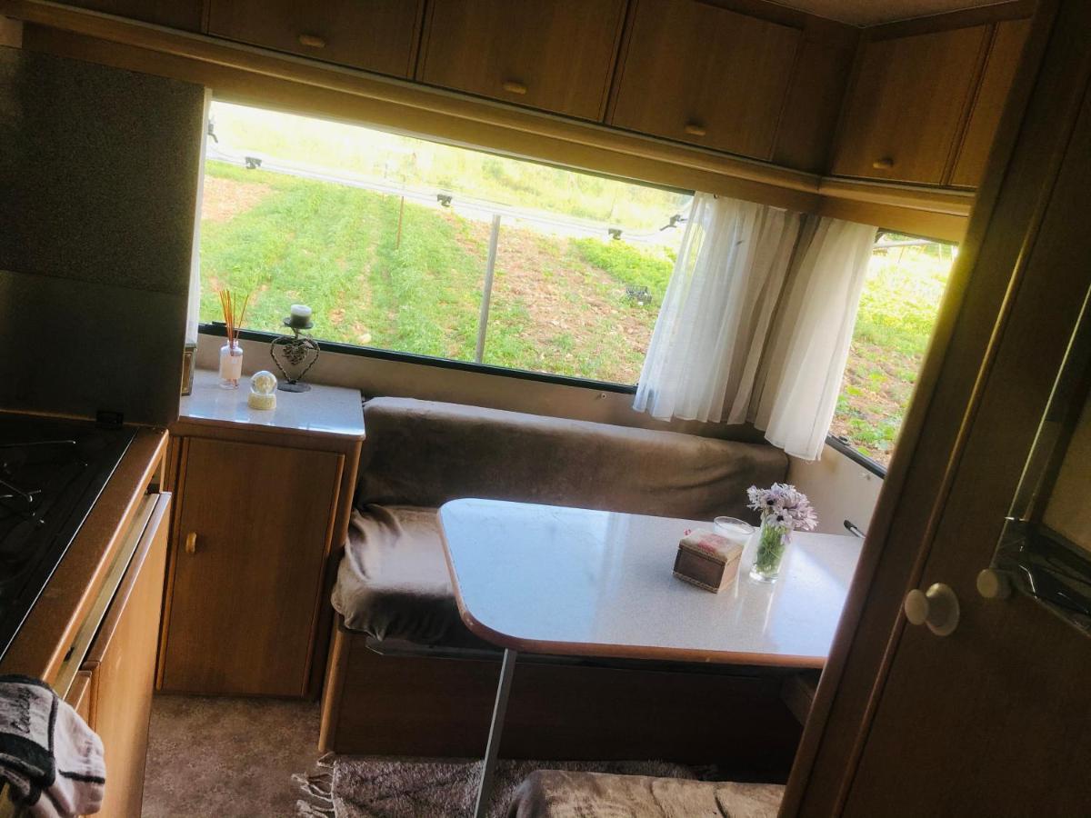 La Ferme De Rotani Hotell Aléria Eksteriør bilde